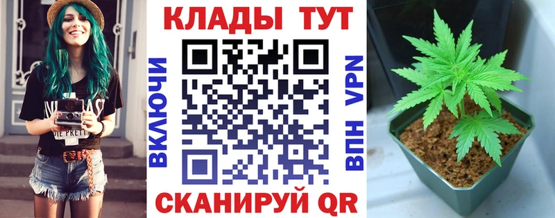 Купить Псилоцибиновые грибы  Меф  МЕТАДОН  А ПВП  Гашиш  Конопля  COCAIN  Хабаровск