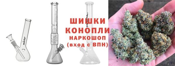 Альфа ПВП Аркадак