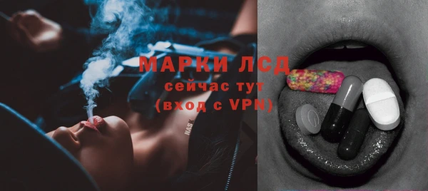 твердый Алзамай