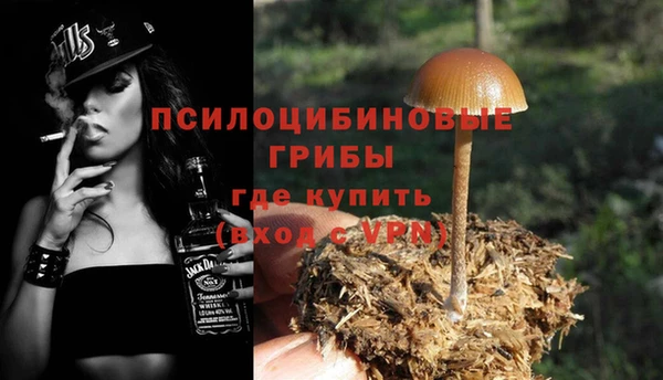 спиды Алексин